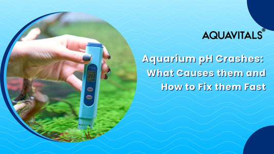 Aquarium pH Crashes What Causes Them and How to Fix Them Fast