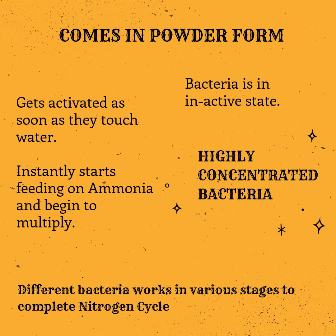 Nitrifying Bacteria - Aquarium Water Conditioner