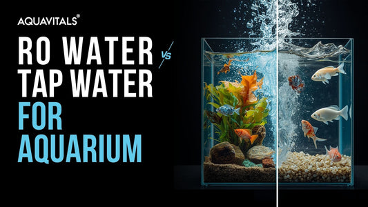 What Fish Keepers Need to Know About RO Water vs Tap Water?