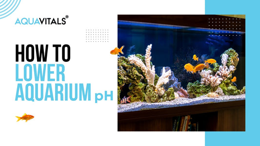 How to Lower Aquarium pH