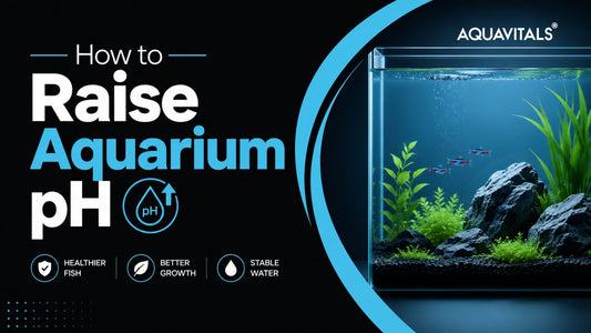 How to Raise Aquarium pH