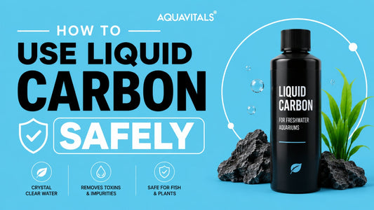 How to Use Liquid Carbon Safely