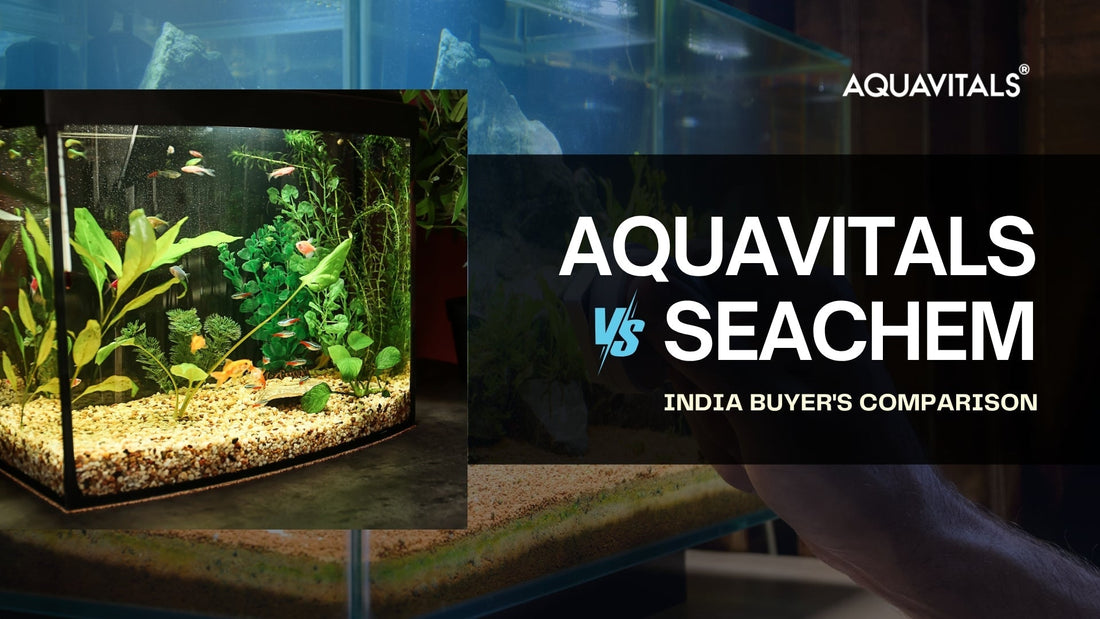 AquaVitals vs Seachem: India Buyer's Comparison