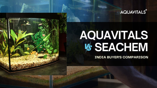 AquaVitals vs Seachem: India Buyer's Comparison