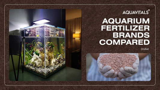 Aquarium Fertilizer Brands Compared (India)