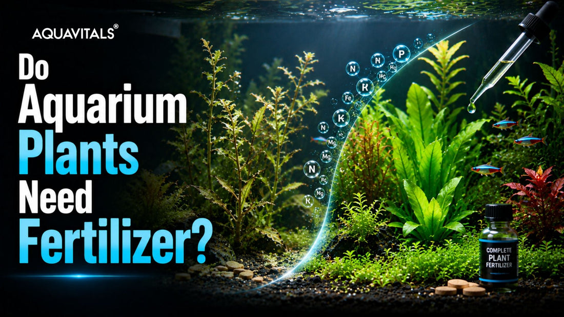 Do Aquarium Plants Need Fertilizer?