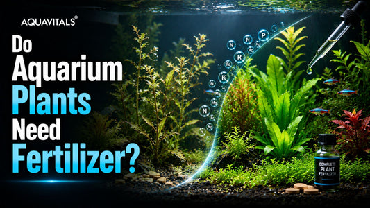 Do Aquarium Plants Need Fertilizer?