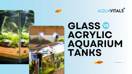 Glass vs Acrylic Aquarium Tanks