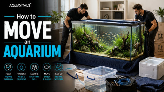 How to Move an Aquarium