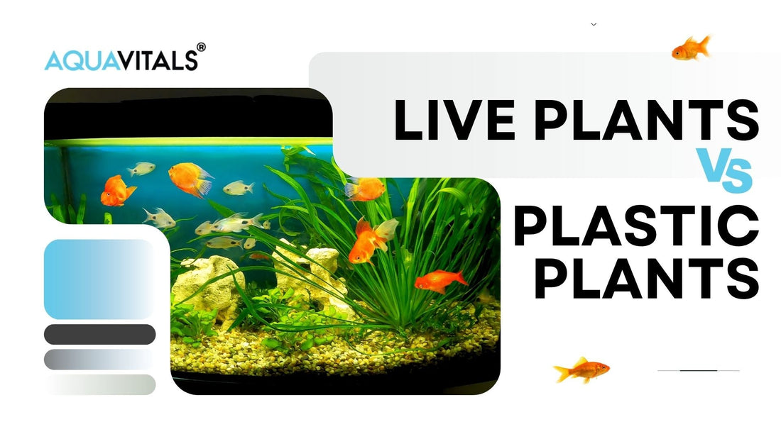 Live Plants vs Plastic Plants