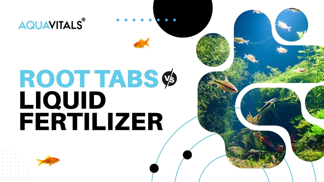 Root Tabs vs Liquid Fertilizer