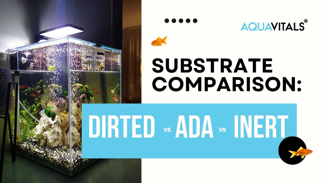 What Aquascapers Should Know About Dirted vs ADA vs Inert Substrate