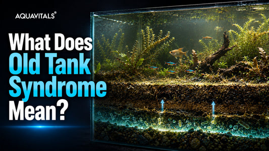 What Does Old Tank Syndrome Mean?