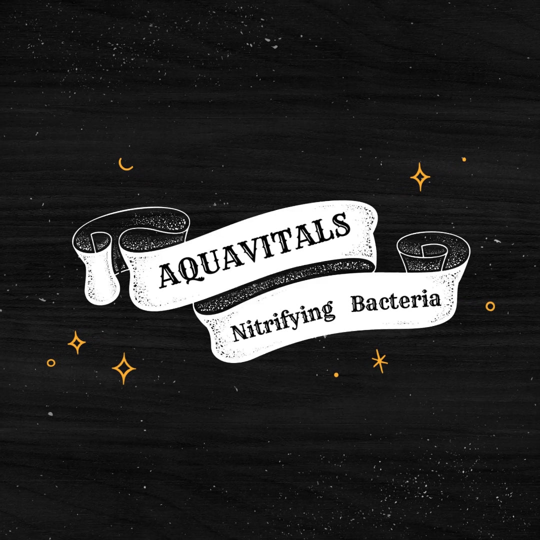 Nitrifying Bacteria - Aquarium Water Conditioner