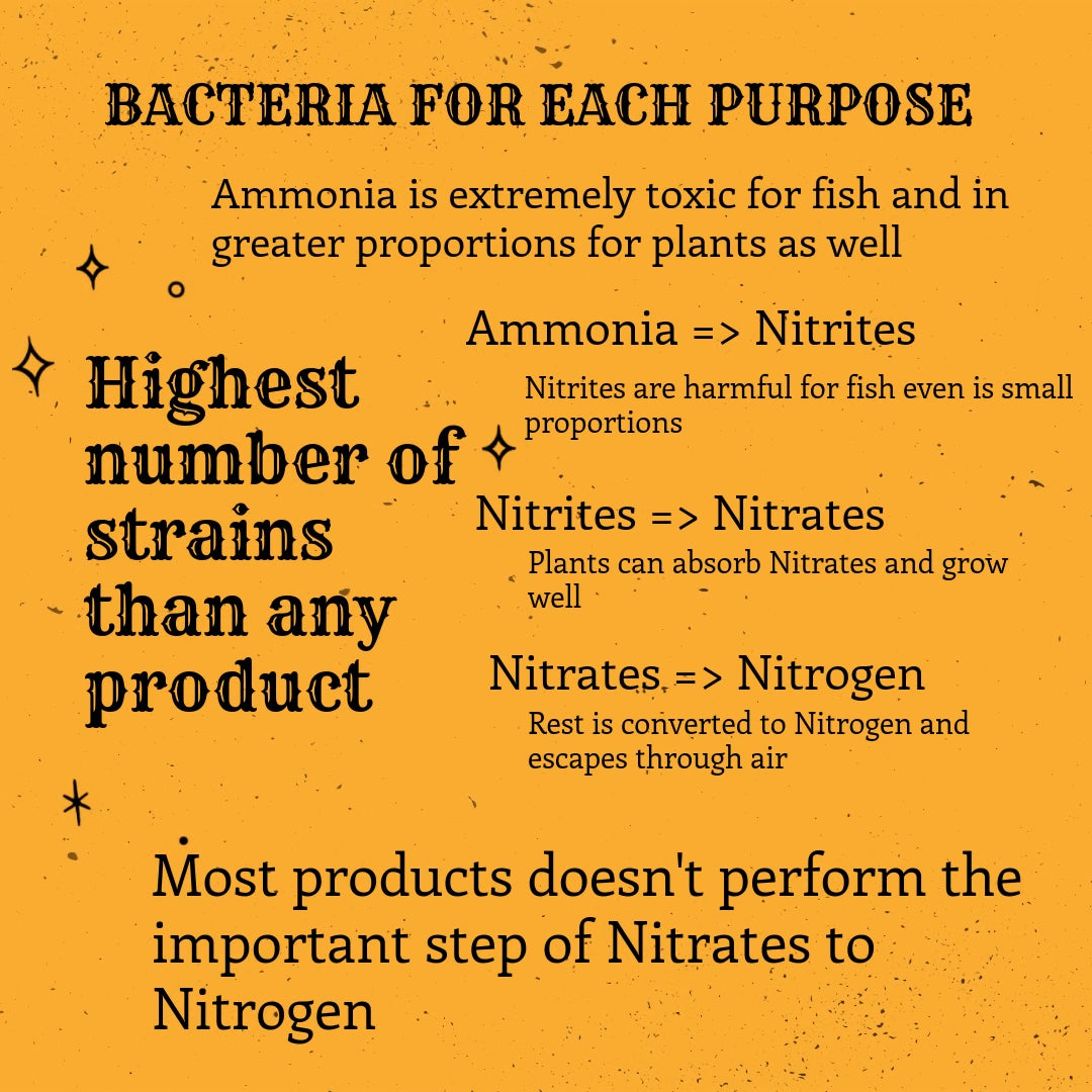 Nitrifying Bacteria - Aquarium Water Conditioner