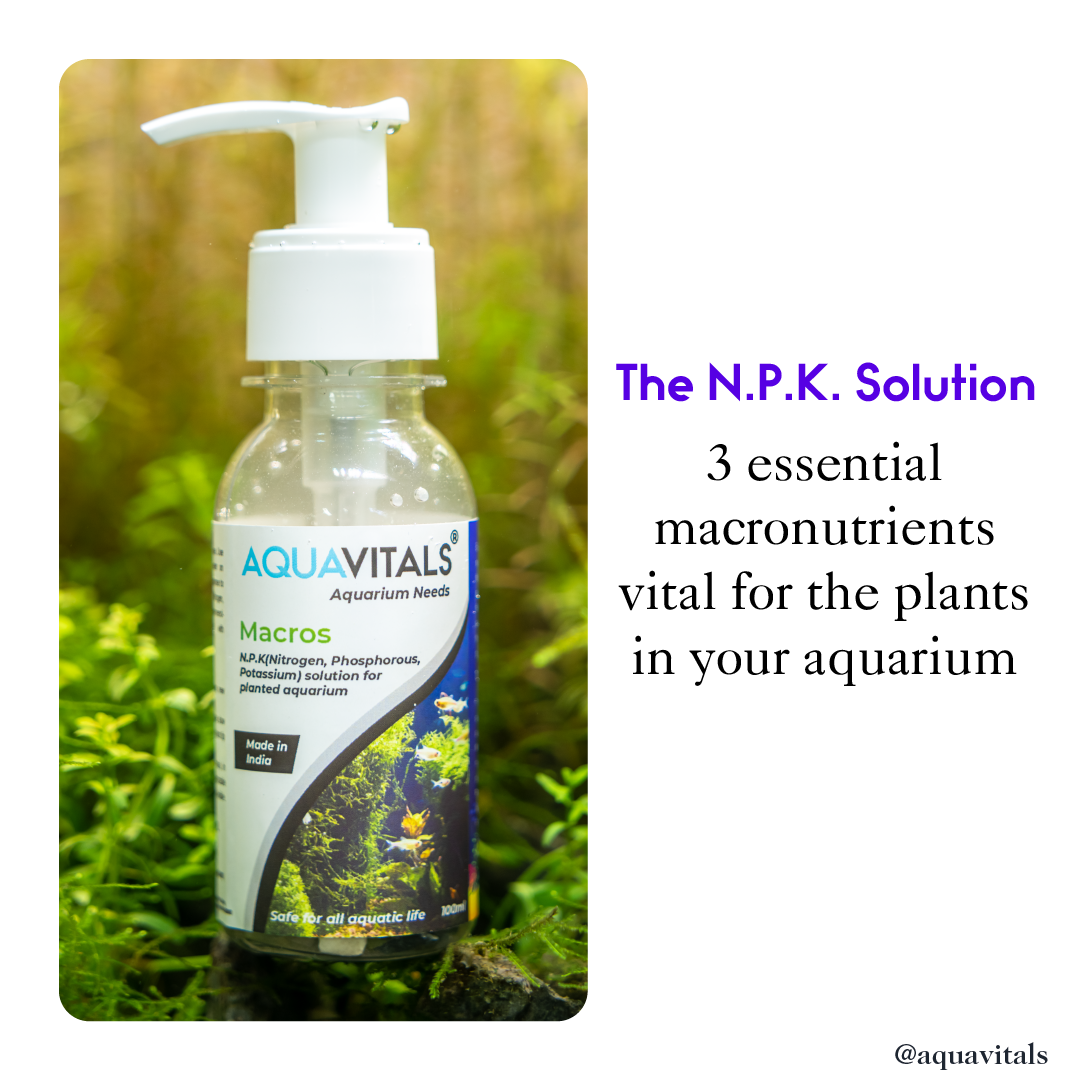 Macros (N.P.K Solution) - Aquarium Plant Nutrient Supplement