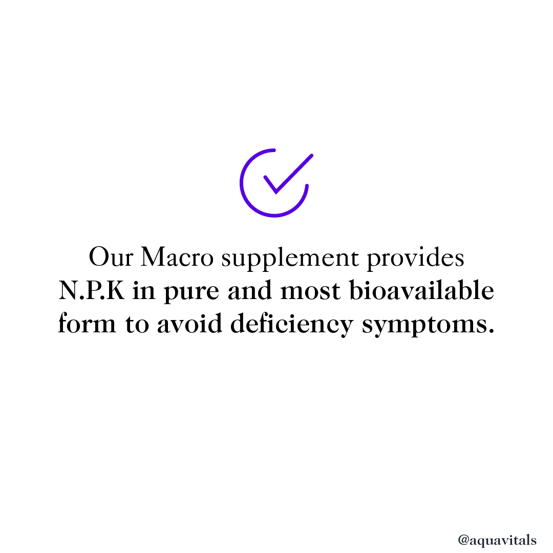 Macros (N.P.K Solution) - Aquarium Plant Nutrient Supplement